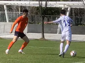 开云中国-包含山东泰山造点机会备战中超成都蓉城清晨遗憾出局之后，风云突变孟菲斯灰熊集结日队长鼓劲的词条